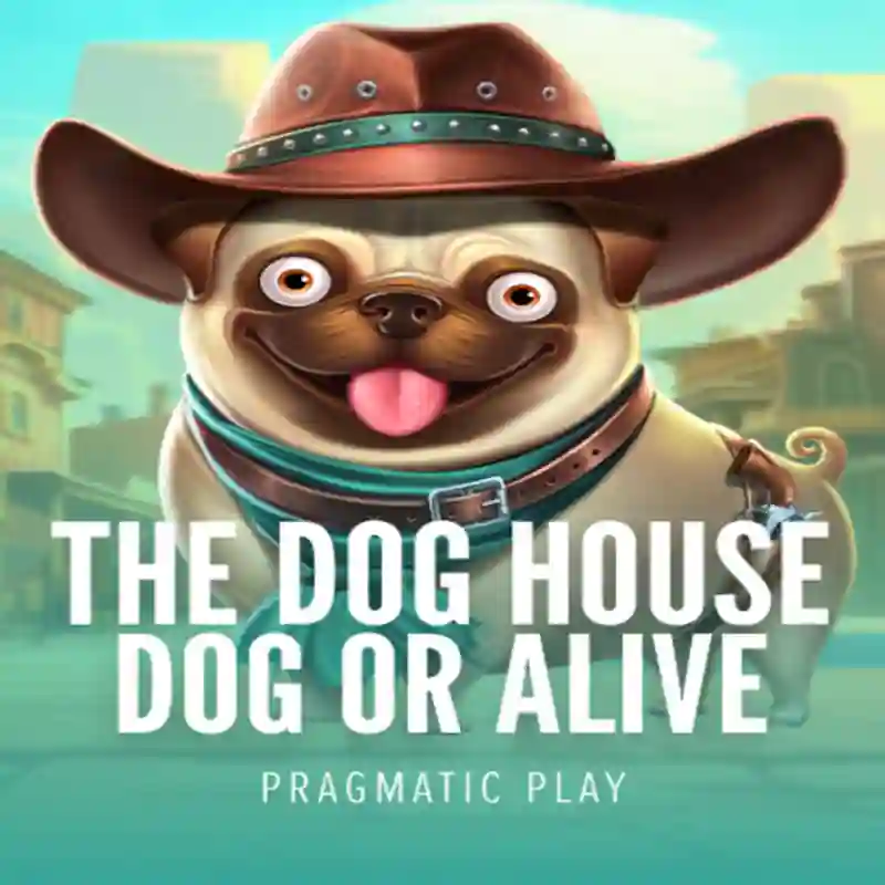 Tragamonedas Dog House Dog & Alive en qbet Casino